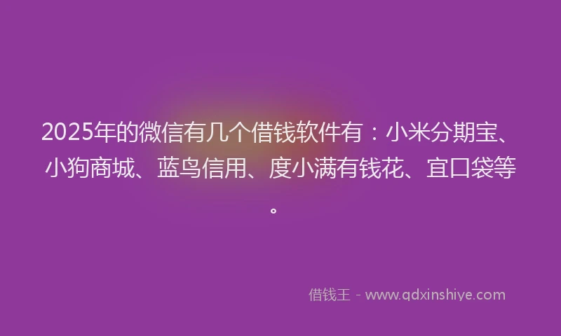 2025年的微信有几个借钱软件有：小米分期宝、小狗商城、蓝鸟信用、度小满有钱花、宜口袋等。