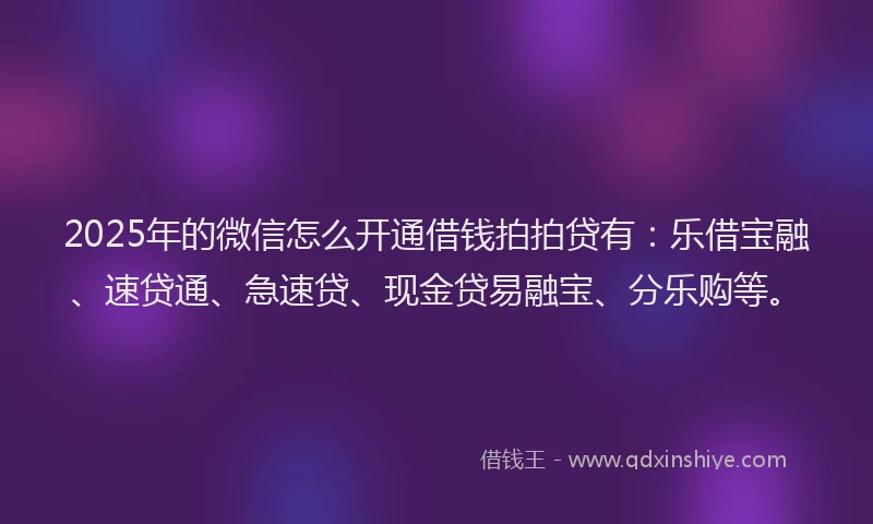 2025年的微信怎么开通借钱拍拍贷有：乐借宝融、速贷通、急速贷、现金贷易融宝、分乐购等。