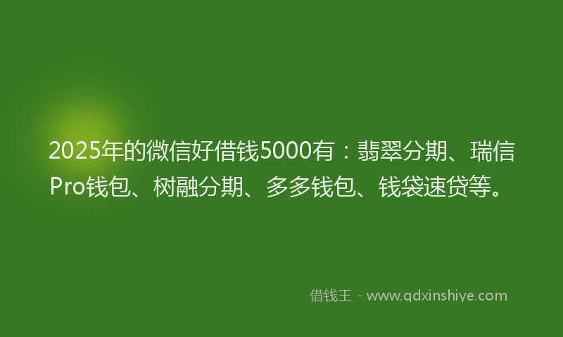 2025年的微信好借钱5000有：翡翠分期、瑞信Pro钱包、树融分期、多多钱包、钱袋速贷等。
