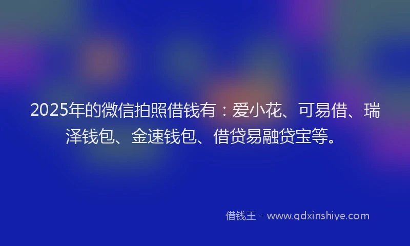 2025年的微信拍照借钱有：爱小花、可易借、瑞泽钱包、金速钱包、借贷易融贷宝等。