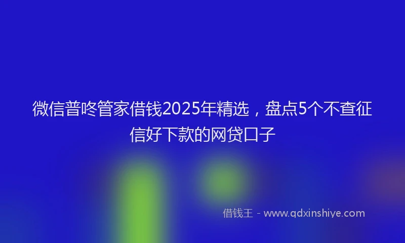 微信普咚管家借钱2025年精选，盘点5个不查征信好下款的网贷口子