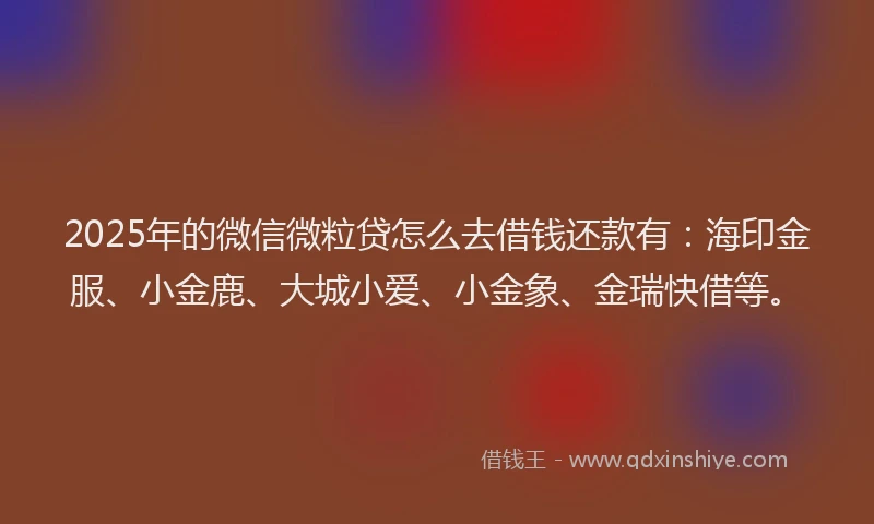 2025年的微信微粒贷怎么去借钱还款有：海印金服、小金鹿、大城小爱、小金象、金瑞快借等。