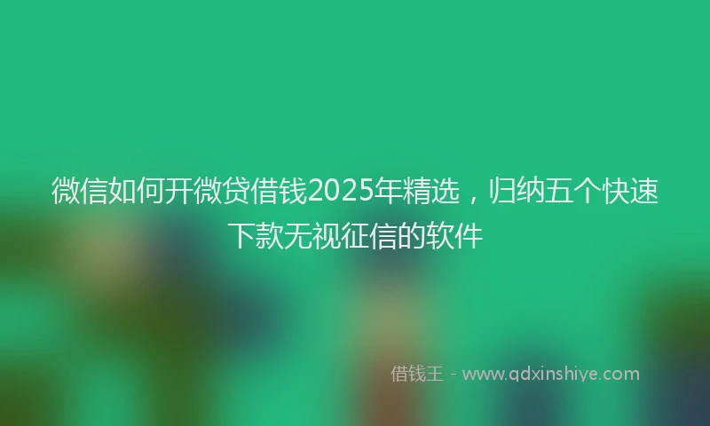 微信如何开微贷借钱2025年精选，归纳五个快速下款无视征信的软件