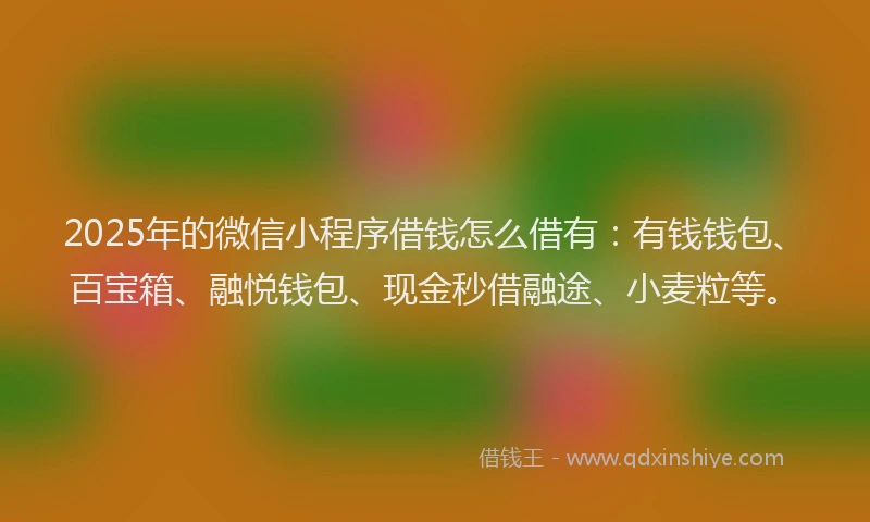 2025年的微信小程序借钱怎么借有：有钱钱包、百宝箱、融悦钱包、现金秒借融途、小麦粒等。