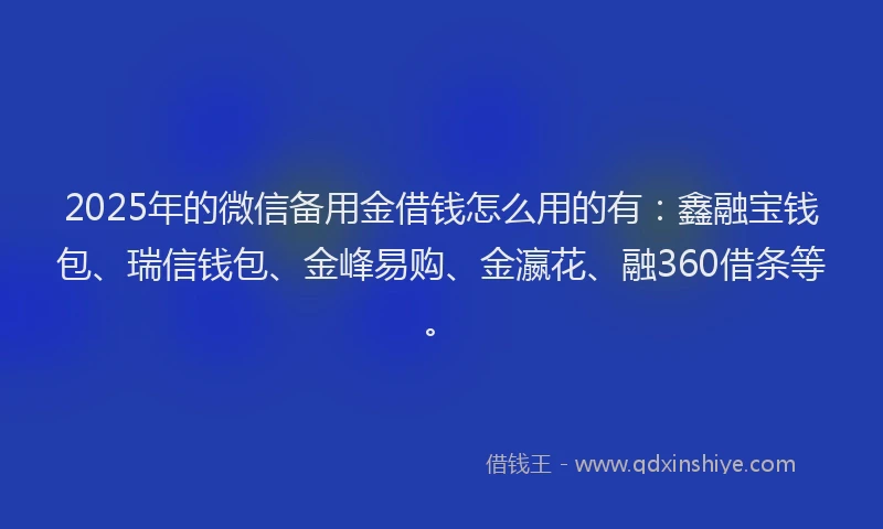 2025年的微信备用金借钱怎么用的有：鑫融宝钱包、瑞信钱包、金峰易购、金瀛花、融360借条等。
