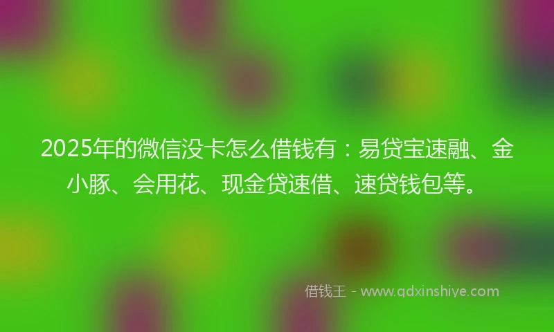 2025年的微信没卡怎么借钱有：易贷宝速融、金小豚、会用花、现金贷速借、速贷钱包等。