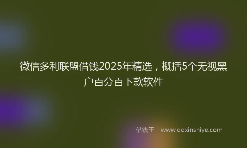 微信多利联盟借钱2025年精选，概括5个无视黑户百分百下款软件
