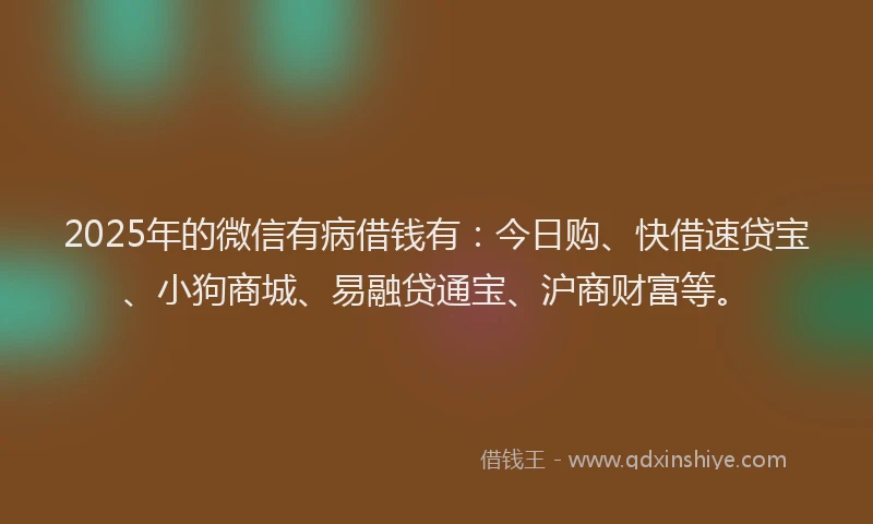 2025年的微信有病借钱有：今日购、快借速贷宝、小狗商城、易融贷通宝、沪商财富等。