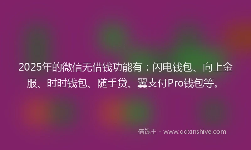 2025年的微信无借钱功能有：闪电钱包、向上金服、时时钱包、随手贷、翼支付Pro钱包等。