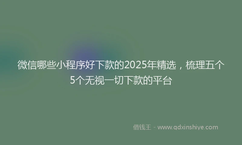 微信哪些小程序好下款的2025年精选，梳理五个5个无视一切下款的平台