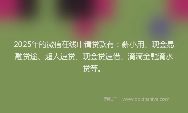 2025年的微信在线申请贷款有：薪小用、现金易融贷途、超人速贷、现金贷速借、滴滴金融滴水贷等。