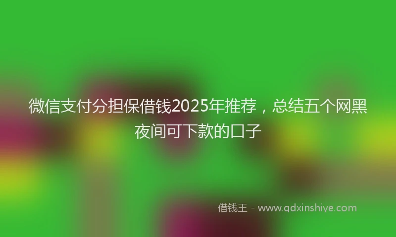 微信支付分担保借钱2025年推荐，总结五个网黑夜间可下款的口子