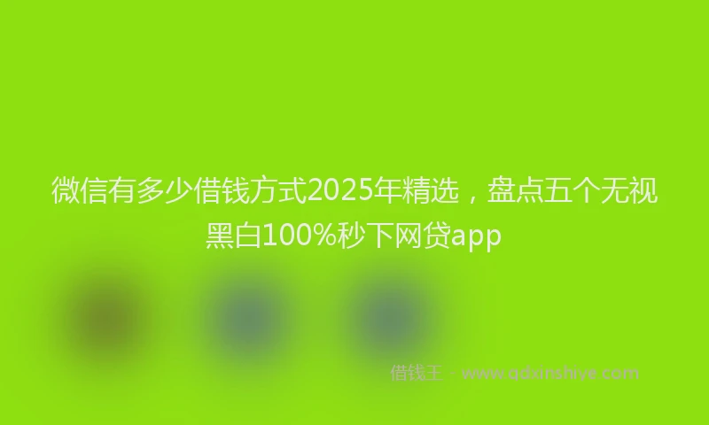 微信有多少借钱方式2025年精选，盘点五个无视黑白100%秒下网贷app