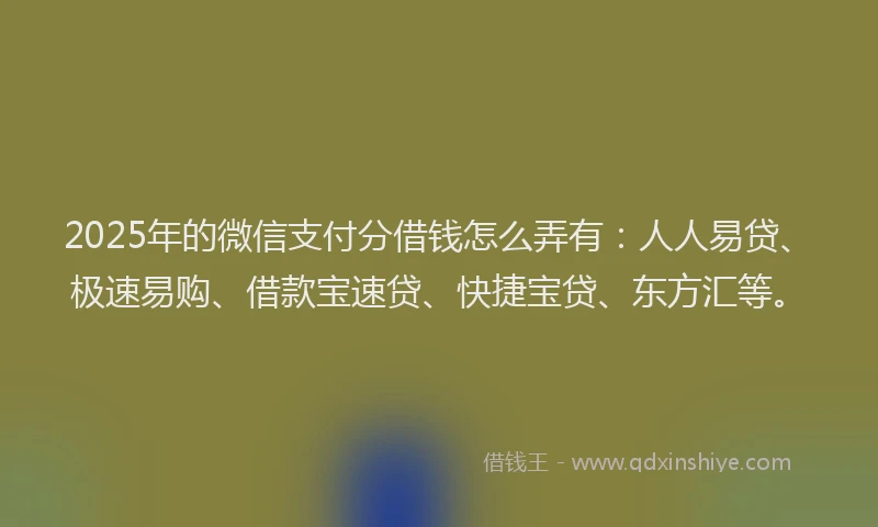 2025年的微信支付分借钱怎么弄有：人人易贷、极速易购、借款宝速贷、快捷宝贷、东方汇等。