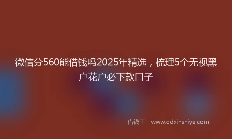 微信分560能借钱吗2025年精选，梳理5个无视黑户花户必下款口子