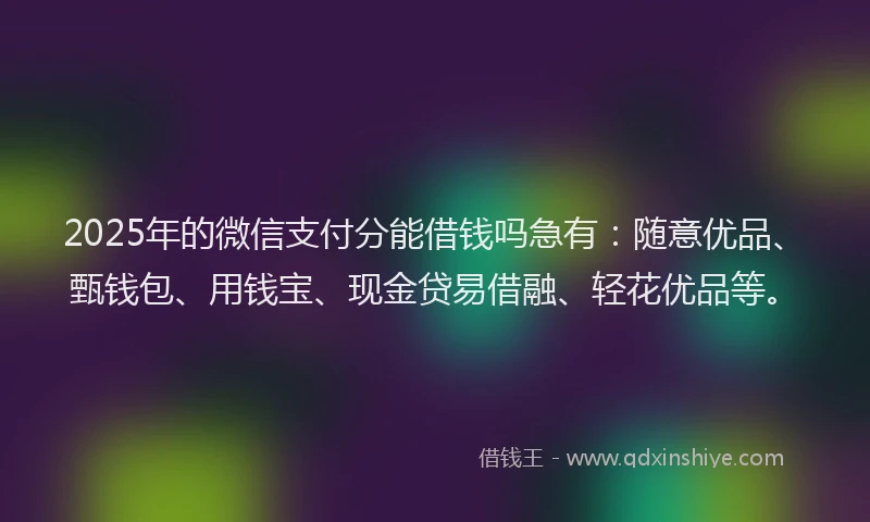 2025年的微信支付分能借钱吗急有：随意优品、甄钱包、用钱宝、现金贷易借融、轻花优品等。