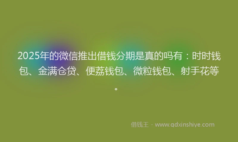 2025年的微信推出借钱分期是真的吗有：时时钱包、金满仓贷、便荔钱包、微粒钱包、射手花等。