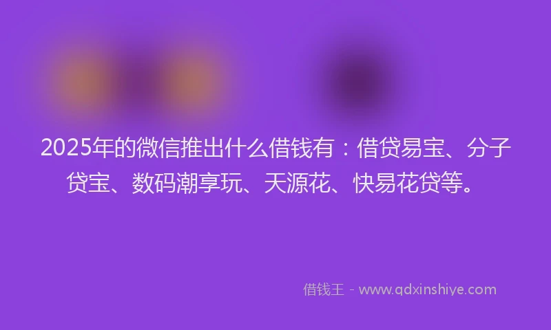 2025年的微信推出什么借钱有：借贷易宝、分子贷宝、数码潮享玩、天源花、快易花贷等。