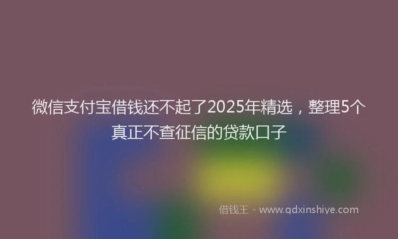 微信支付宝借钱还不起了2025年精选，整理5个真正不查征信的贷款口子
