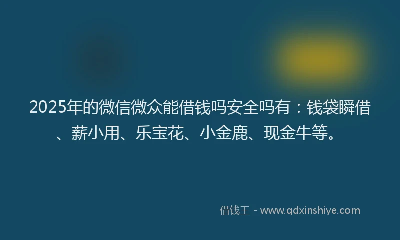 2025年的微信微众能借钱吗安全吗有：钱袋瞬借、薪小用、乐宝花、小金鹿、现金牛等。
