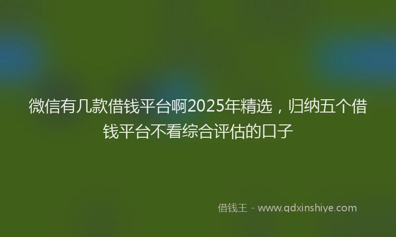 微信有几款借钱平台啊2025年精选，归纳五个借钱平台不看综合评估的口子