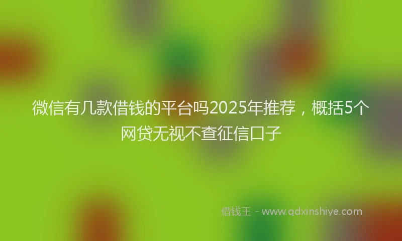 微信有几款借钱的平台吗2025年推荐，概括5个网贷无视不查征信口子
