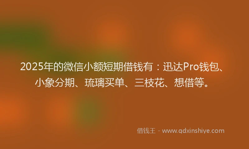 2025年的微信小额短期借钱有：迅达Pro钱包、小象分期、琉璃买单、三枝花、想借等。