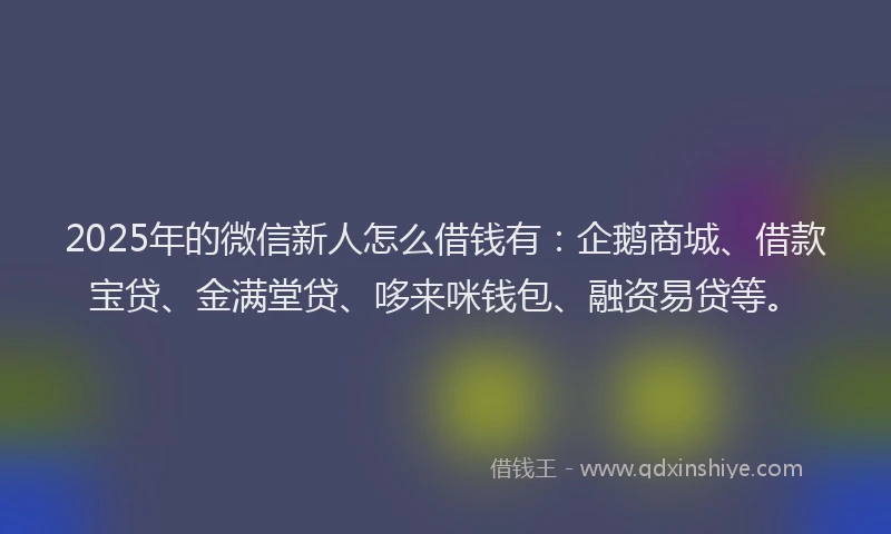2025年的微信新人怎么借钱有：企鹅商城、借款宝贷、金满堂贷、哆来咪钱包、融资易贷等。