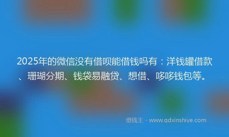 2025年的微信没有借呗能借钱吗有：洋钱罐借款、珊瑚分期、钱袋易融贷、想借、哆哆钱包等。
