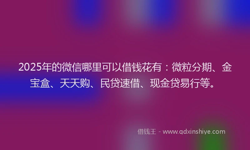 2025年的微信哪里可以借钱花有：微粒分期、金宝盒、天天购、民贷速借、现金贷易行等。