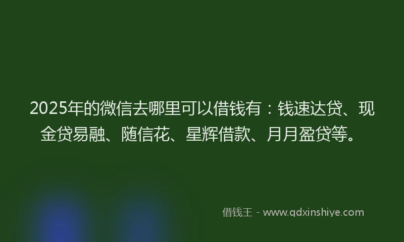 2025年的微信去哪里可以借钱有：钱速达贷、现金贷易融、随信花、星辉借款、月月盈贷等。