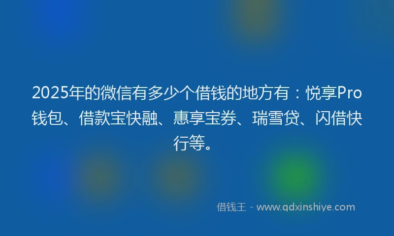 2025年的微信有多少个借钱的地方有：悦享Pro钱包、借款宝快融、惠享宝券、瑞雪贷、闪借快行等。