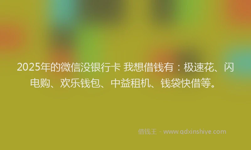 2025年的微信没银行卡 我想借钱有：极速花、闪电购、欢乐钱包、中益租机、钱袋快借等。