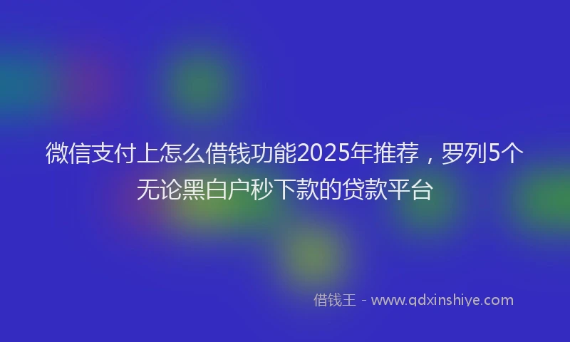 微信支付上怎么借钱功能2025年推荐，罗列5个无论黑白户秒下款的贷款平台