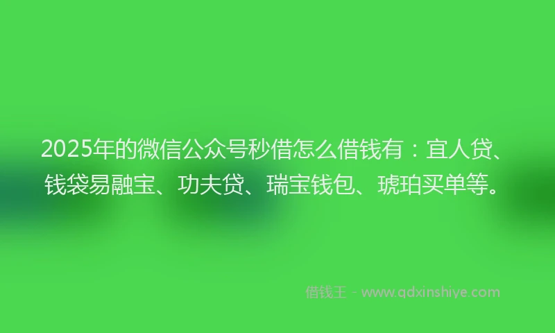 2025年的微信公众号秒借怎么借钱有：宜人贷、钱袋易融宝、功夫贷、瑞宝钱包、琥珀买单等。