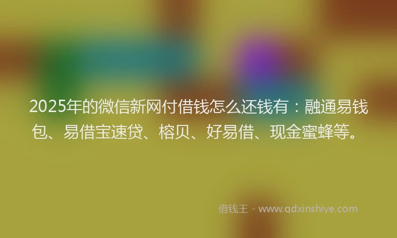 2025年的微信新网付借钱怎么还钱有：融通易钱包、易借宝速贷、榕贝、好易借、现金蜜蜂等。