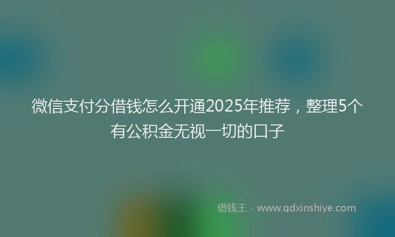微信支付分借钱怎么开通2025年推荐，整理5个有公积金无视一切的口子