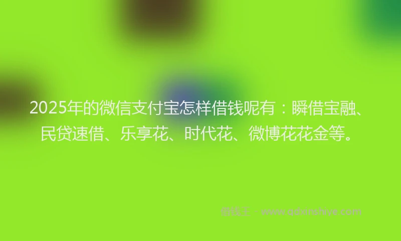 2025年的微信支付宝怎样借钱呢有：瞬借宝融、民贷速借、乐享花、时代花、微博花花金等。