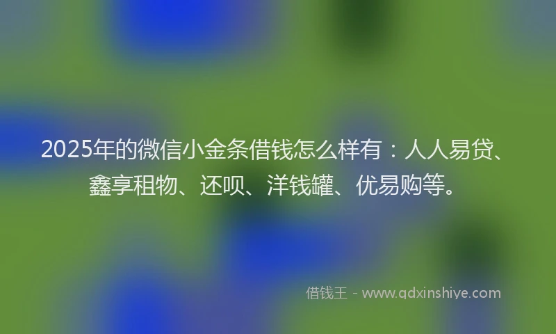 2025年的微信小金条借钱怎么样有：人人易贷、鑫享租物、还呗、洋钱罐、优易购等。