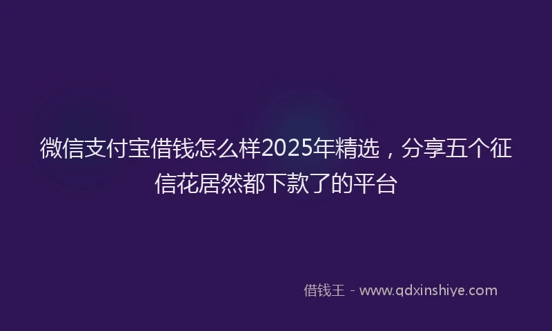 微信支付宝借钱怎么样2025年精选，分享五个征信花居然都下款了的平台