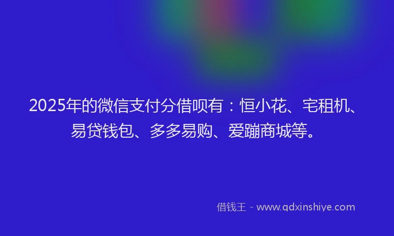 2025年的微信支付分借呗有：恒小花、宅租机、易贷钱包、多多易购、爱蹦商城等。