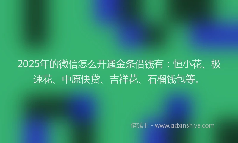 2025年的微信怎么开通金条借钱有：恒小花、极速花、中原快贷、吉祥花、石榴钱包等。
