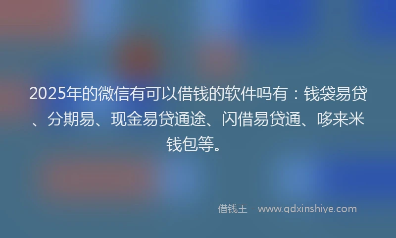 2025年的微信有可以借钱的软件吗有：钱袋易贷、分期易、现金易贷通途、闪借易贷通、哆来米钱包等。