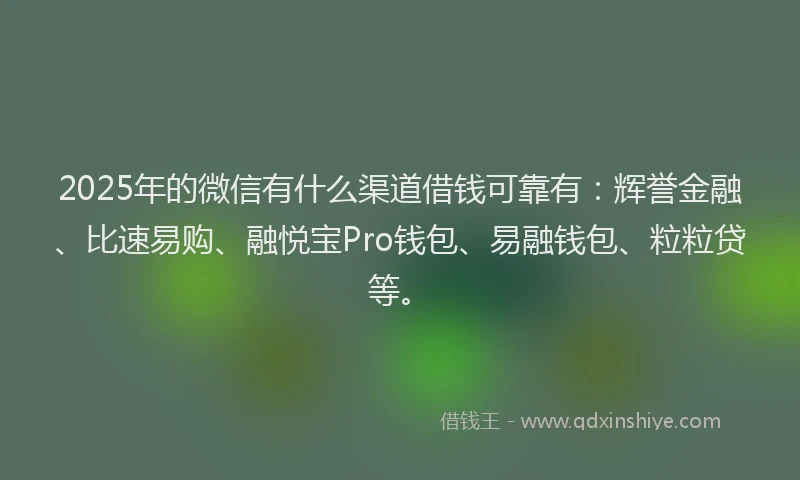 2025年的微信有什么渠道借钱可靠有：辉誉金融、比速易购、融悦宝Pro钱包、易融钱包、粒粒贷等。