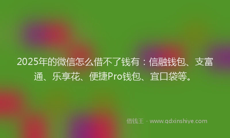2025年的微信怎么借不了钱有：信融钱包、支富通、乐享花、便捷Pro钱包、宜口袋等。