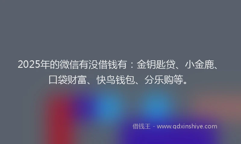2025年的微信有没借钱有：金钥匙贷、小金鹿、口袋财富、快鸟钱包、分乐购等。