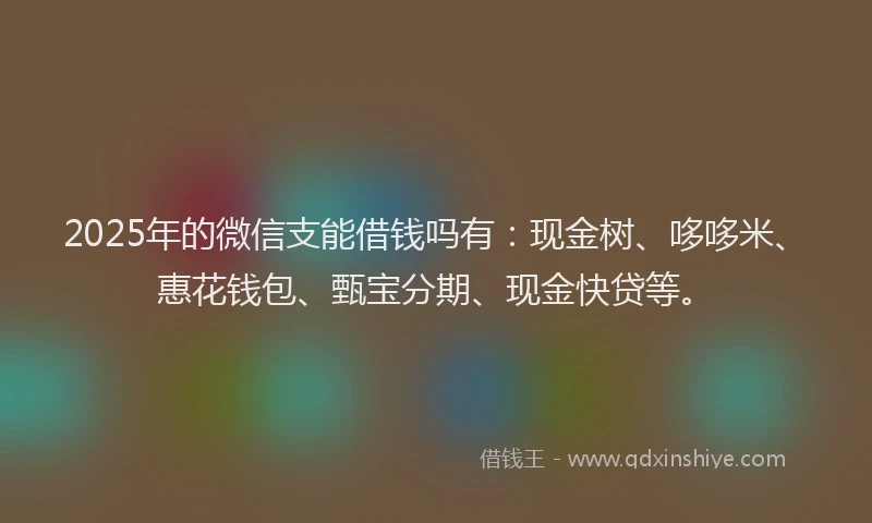 2025年的微信支能借钱吗有：现金树、哆哆米、惠花钱包、甄宝分期、现金快贷等。