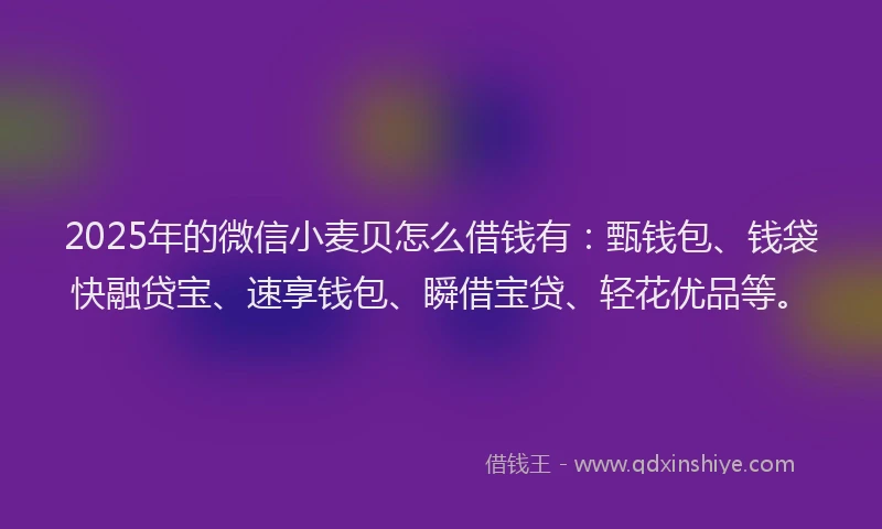 2025年的微信小麦贝怎么借钱有：甄钱包、钱袋快融贷宝、速享钱包、瞬借宝贷、轻花优品等。