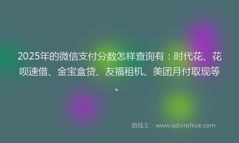 2025年的微信支付分数怎样查询有：时代花、花呗速借、金宝盒贷、友福租机、美团月付取现等。