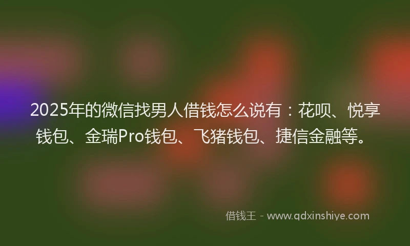 2025年的微信找男人借钱怎么说有：花呗、悦享钱包、金瑞Pro钱包、飞猪钱包、捷信金融等。